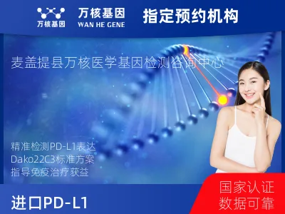 进口PD-L1（Dako22C3）