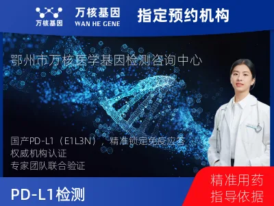 国产PD-L1（E1L3N）