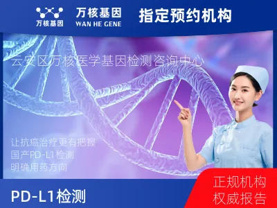 国产PD-L1（E1L3N）