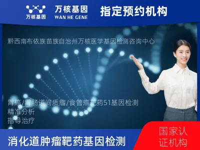 胃癌/胃肠道间质瘤/食管癌靶药51基因检测