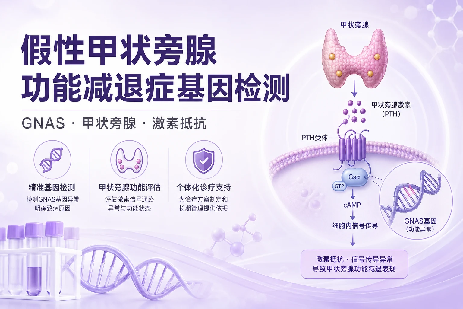 假性甲状旁腺功能减退症基因检测
