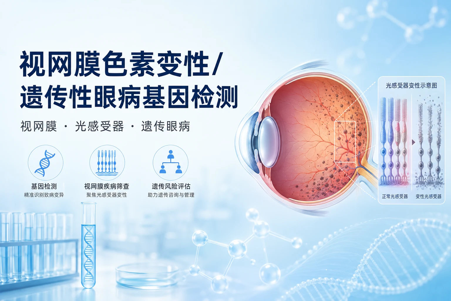 视网膜色素变性/遗传性眼病基因检测