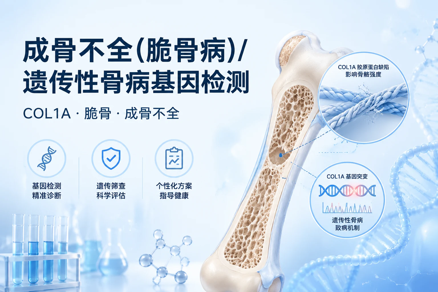成骨不全(脆骨病)/遗传性骨病基因检测