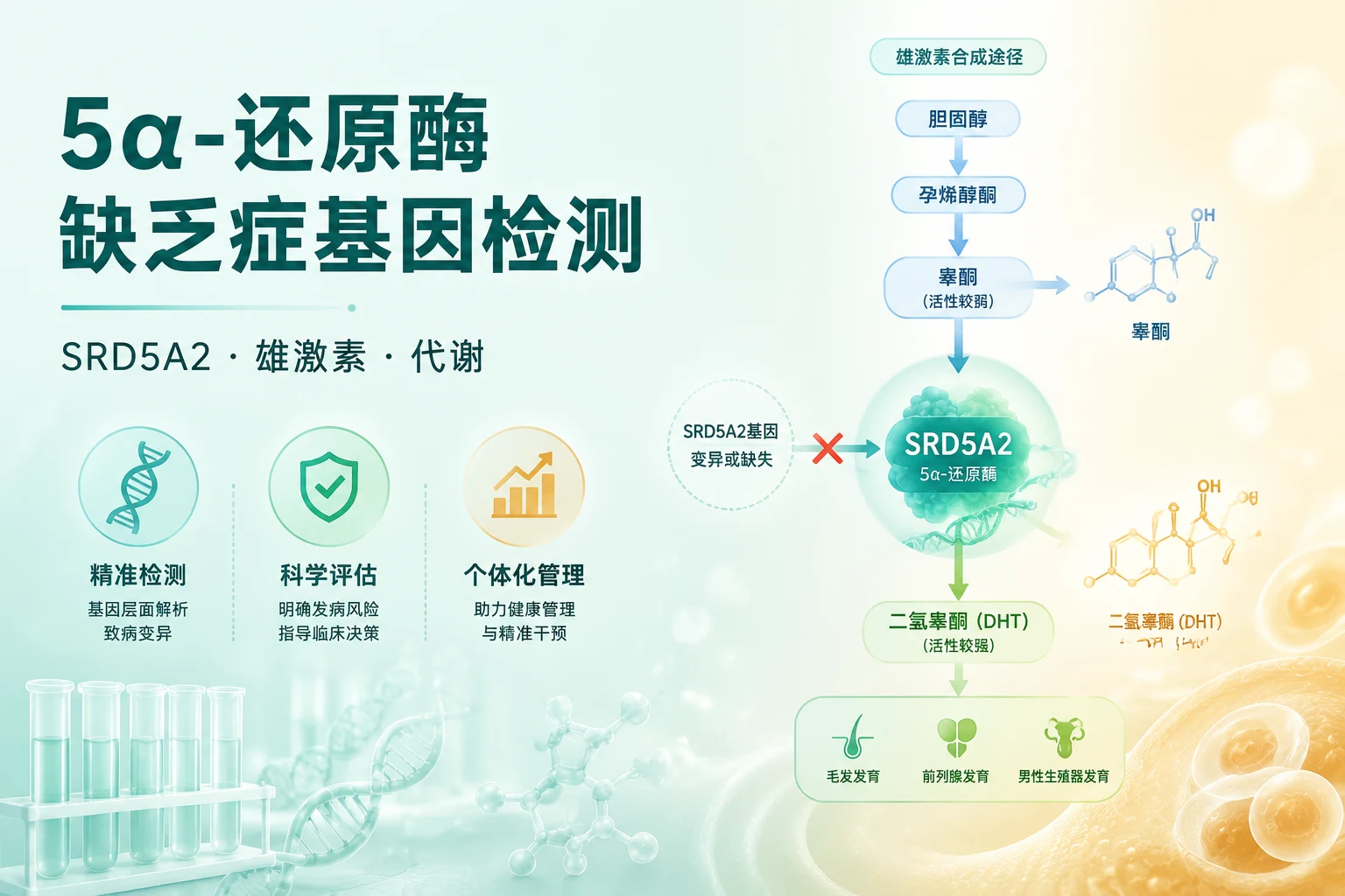 5α-还原酶缺乏症基因检测