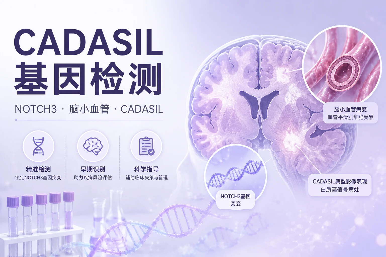 CADASIL基因检测