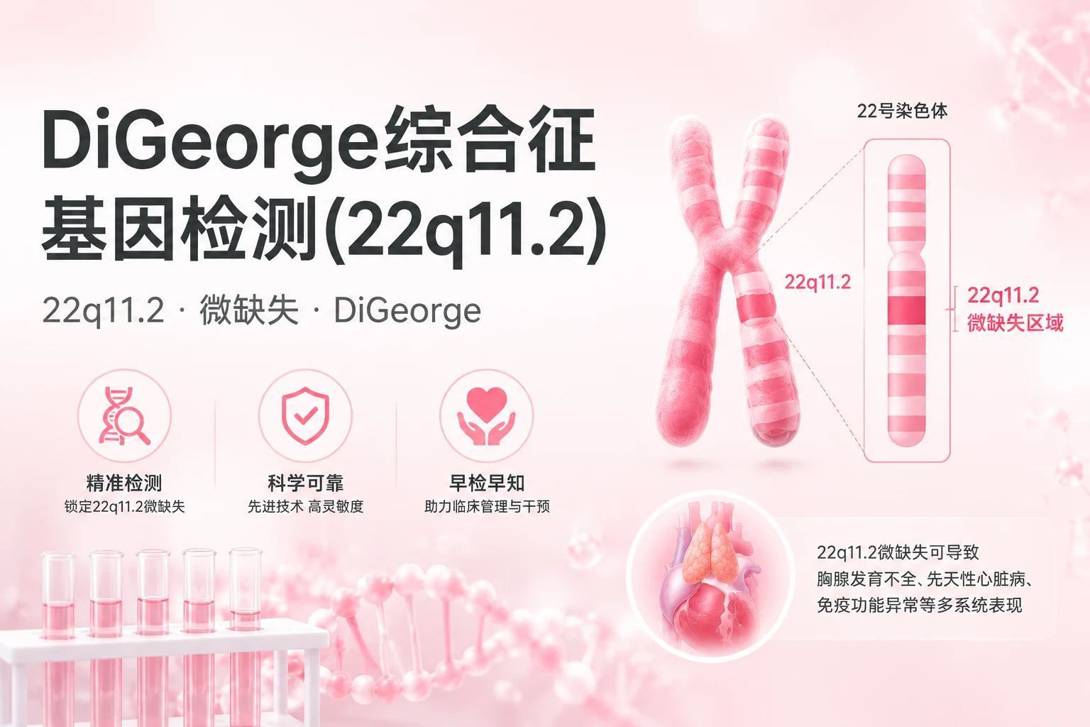 DiGeorge综合征基因检测(22q11.2)