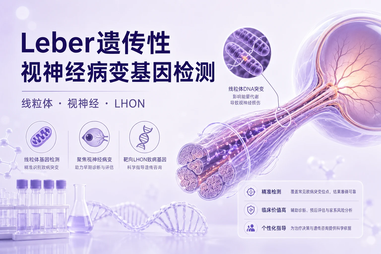 Leber遗传性视神经病变基因检测