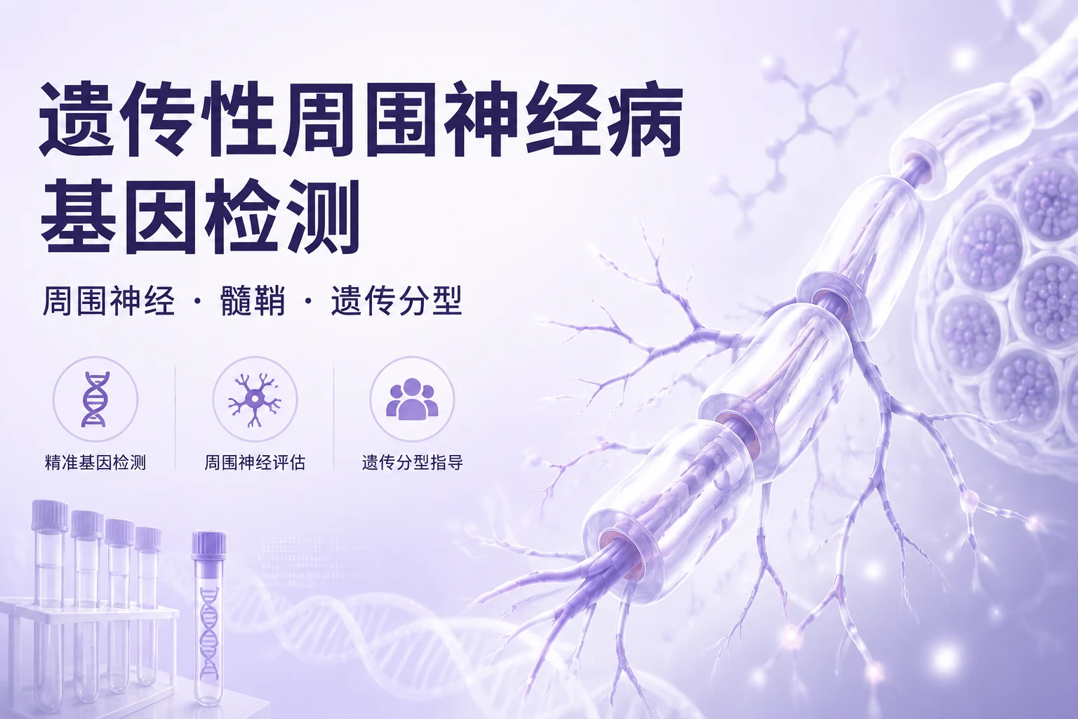 遗传性周围神经病基因检测