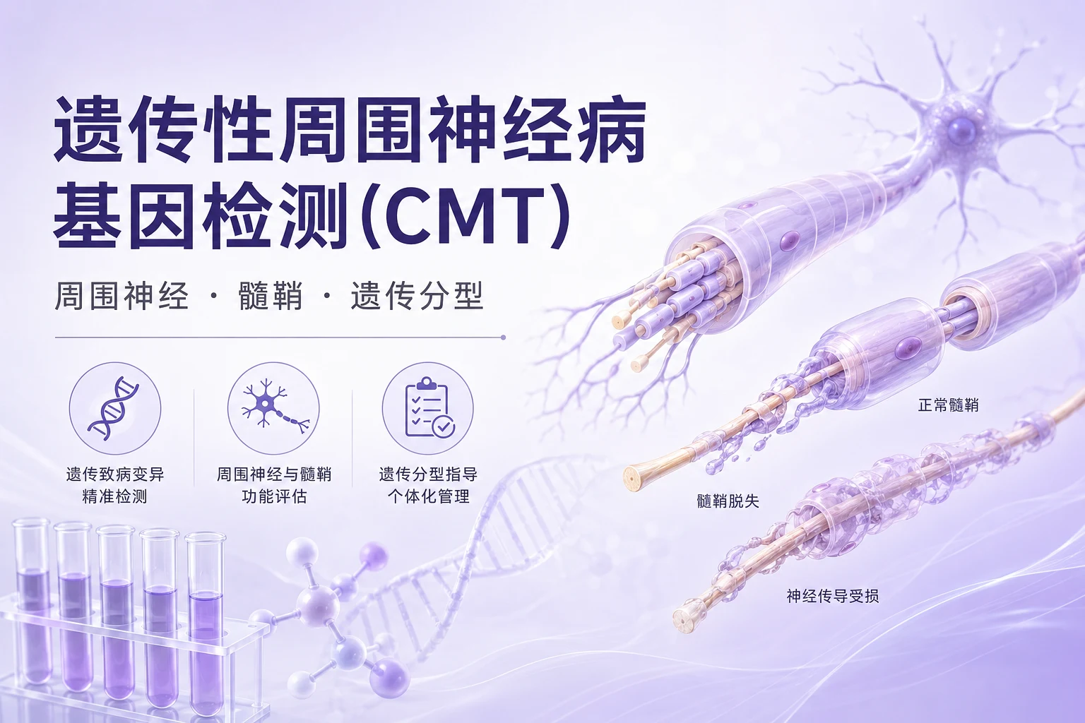 遗传性周围神经病基因检测(CMT)