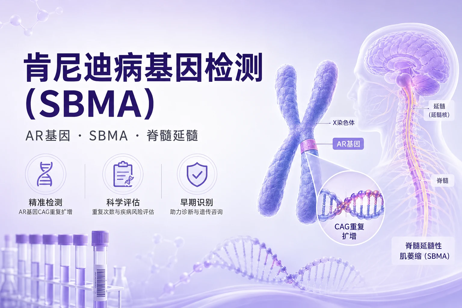 肯尼迪病基因检测(SBMA)