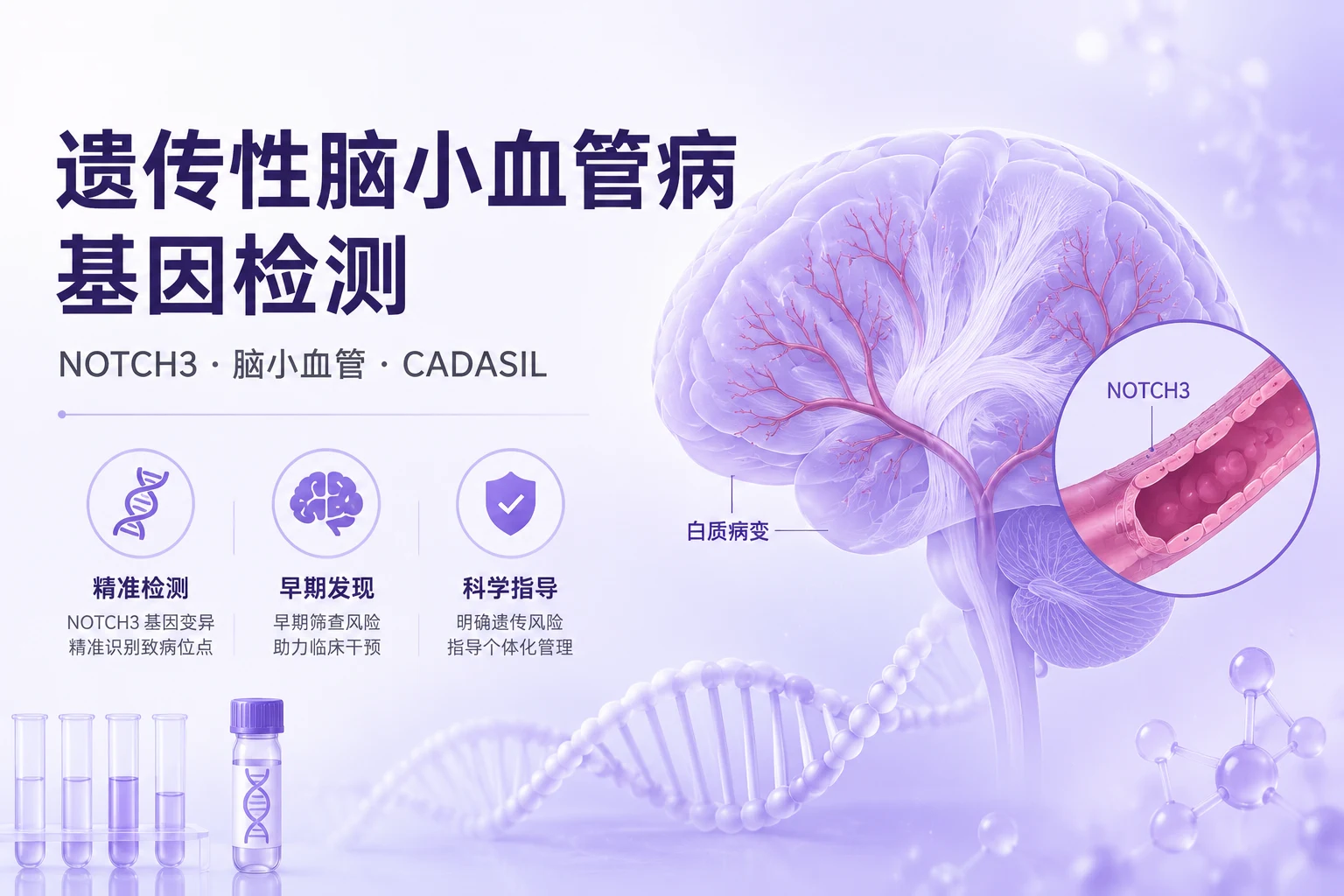 遗传性脑小血管病基因检测
