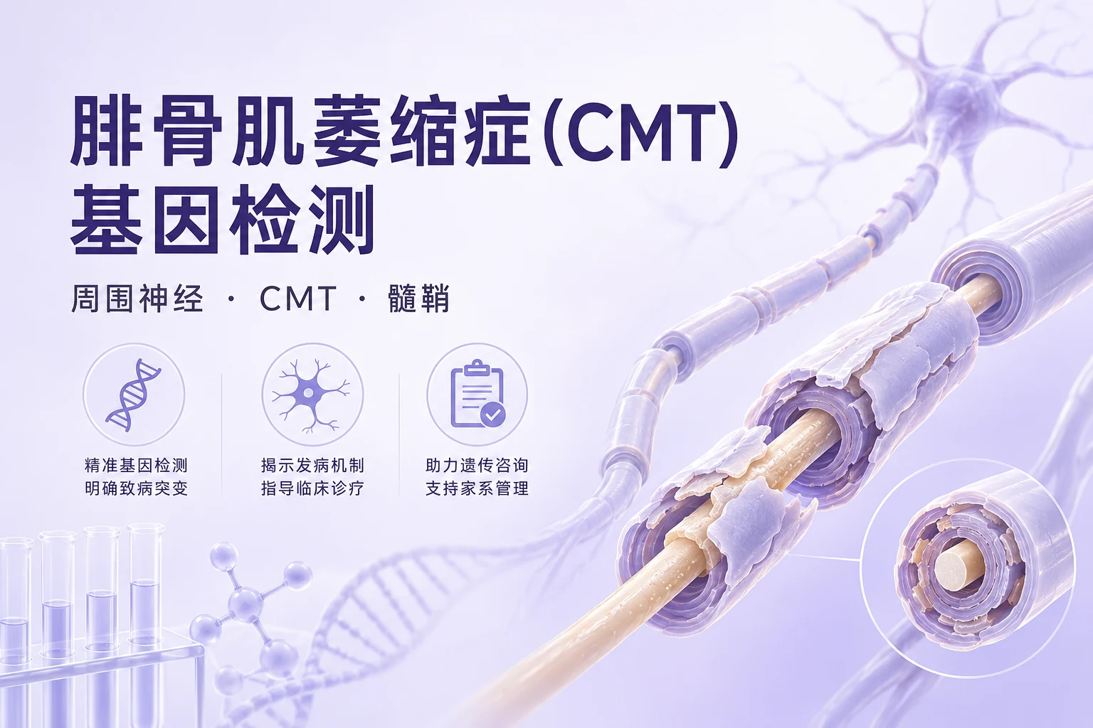 腓骨肌萎缩症(CMT)基因检测