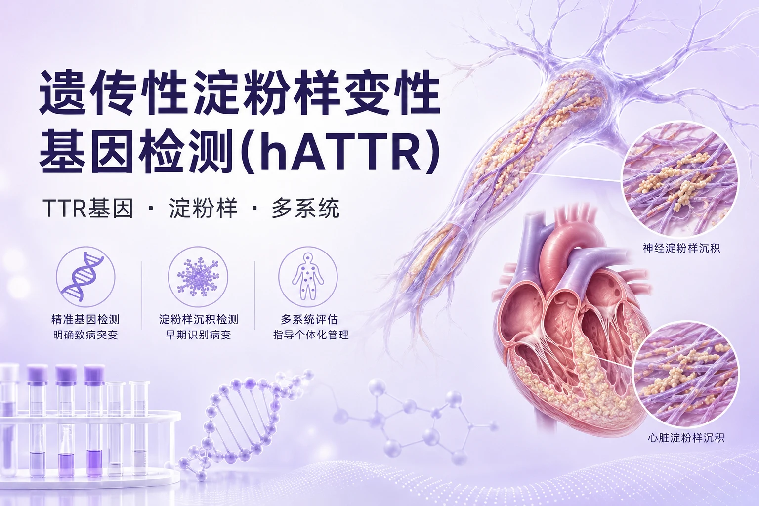 遗传性淀粉样变性基因检测(hATTR)