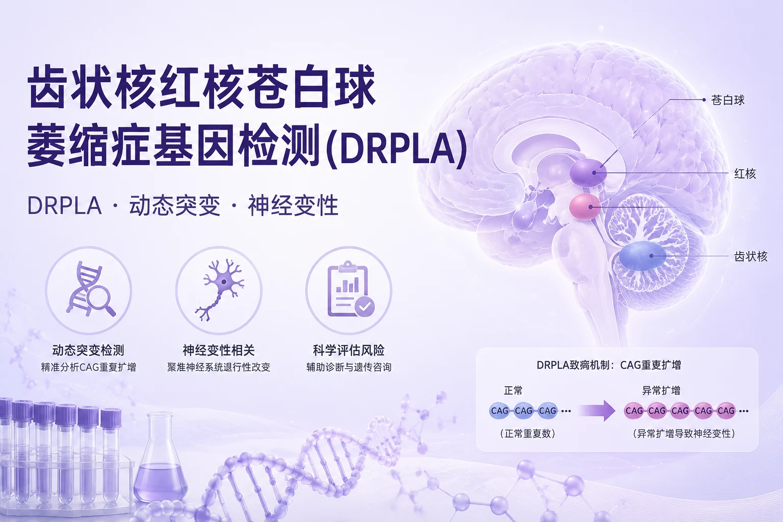 齿状核红核苍白球萎缩症基因检测(DRPLA)