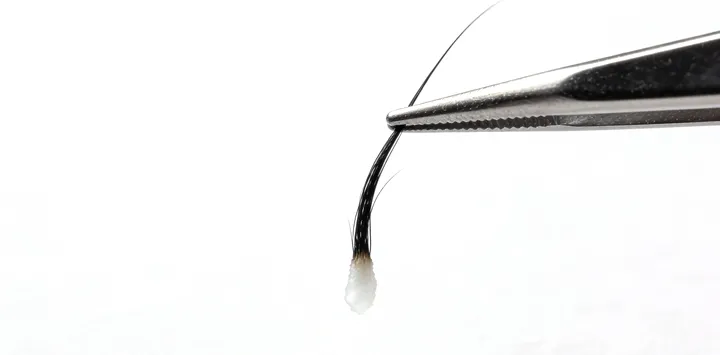 奎屯亲子鉴定咨询