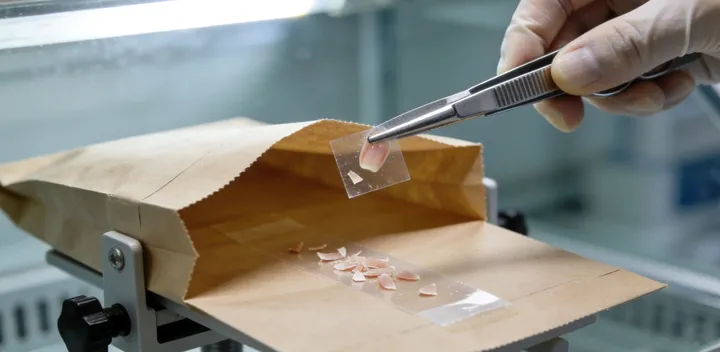 灵宝亲子鉴定采样