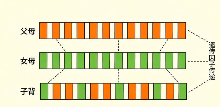宁城亲子鉴定材料准备