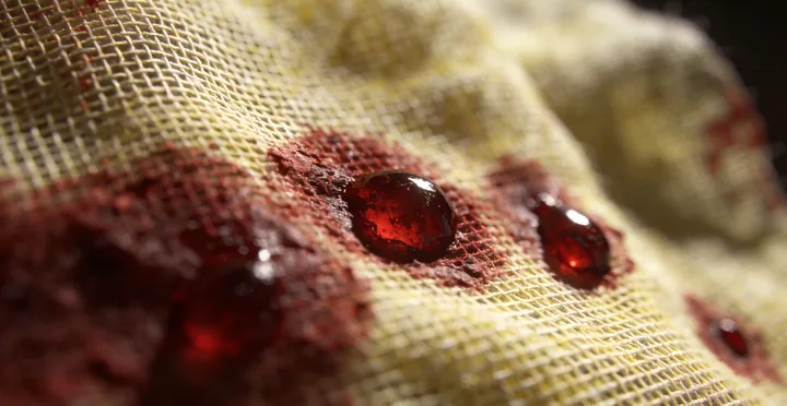 巴南落户亲子鉴定报告