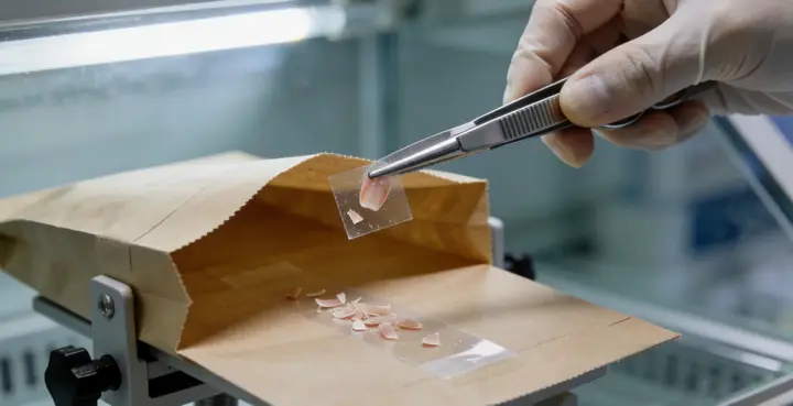 吉首亲子鉴定指甲样本采集