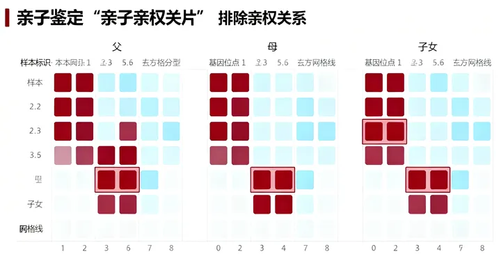 凌源亲子鉴定报告