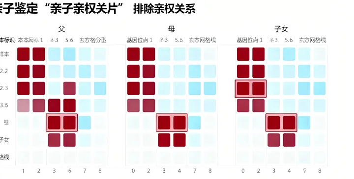 苏州亲子鉴定报告 苏州亲子鉴定报告