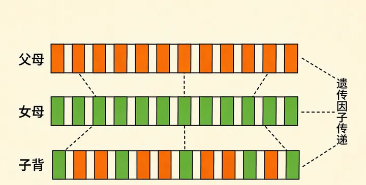 孝昌亲子鉴定咨询