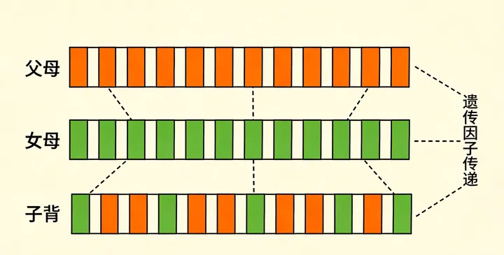 马山司法亲子鉴定流程