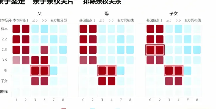 贵南亲子鉴定报告样本