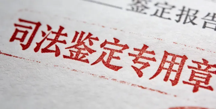 仙游亲子鉴定报告