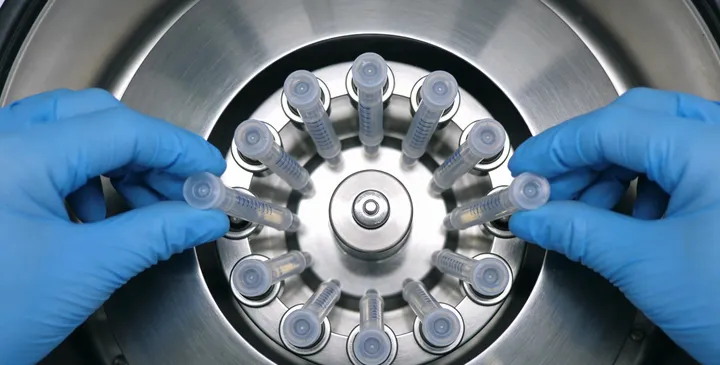 枣庄亲子鉴定费用