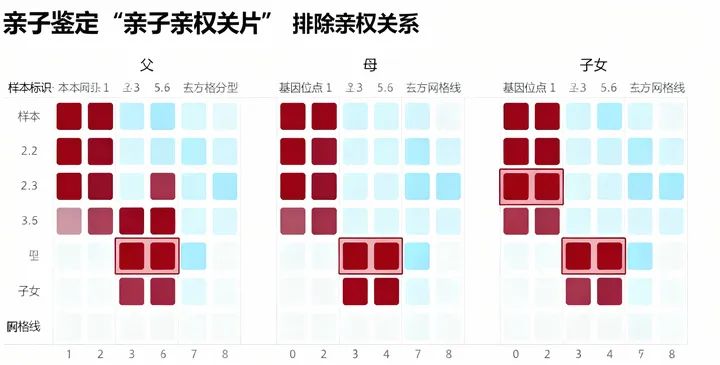 宿迁司法鉴定报告