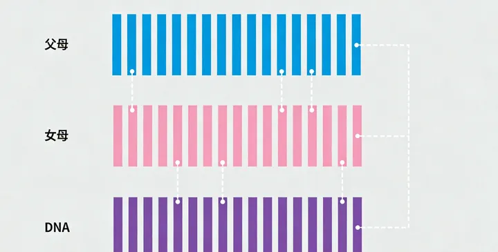 翁牛特旗亲子鉴定采样过程