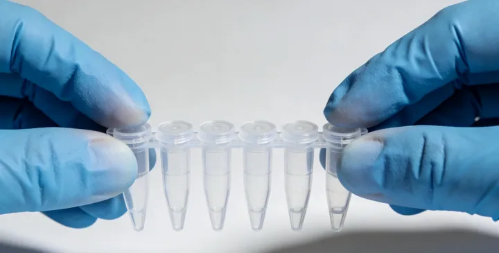 方城亲子鉴定中心地址