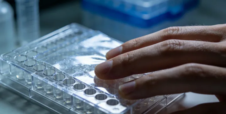 黄山徽州无创亲子鉴定流程