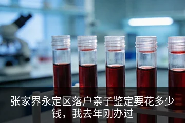 张家界永定区落户亲子鉴定要花多少钱，我去年刚办过