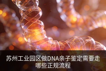 苏州工业园区做DNA亲子鉴定需要走哪些正规流程