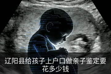 辽阳县给孩子上户口做亲子鉴定要花多少钱