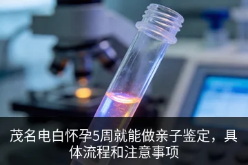 茂名电白怀孕5周就能做亲子鉴定，具体流程和注意事项