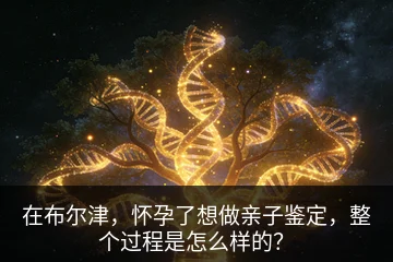 在布尔津，怀孕了想做亲子鉴定，整个过程是怎么样的？