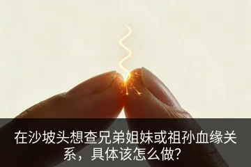 在沙坡头想查兄弟姐妹或祖孙血缘关系，具体该怎么做？