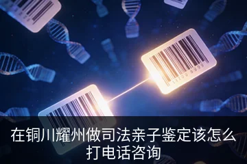 在铜川耀州做司法亲子鉴定该怎么打电话咨询