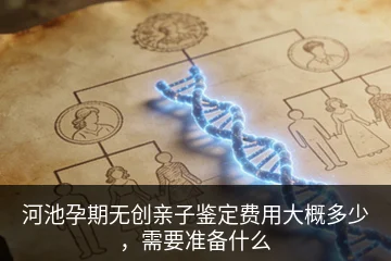 河池孕期无创亲子鉴定费用大概多少，需要准备什么