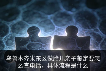 乌鲁木齐米东区做胎儿亲子鉴定要怎么查电话，具体流程是什么