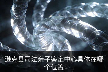 逊克县司法亲子鉴定中心具体在哪个位置