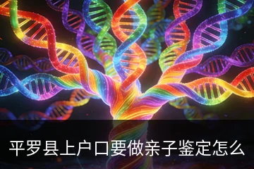 平罗县上户口要做亲子鉴定怎么办