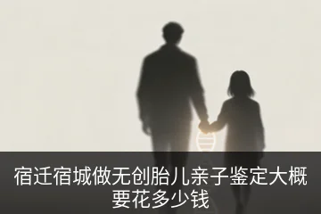 宿迁宿城做无创胎儿亲子鉴定大概要花多少钱